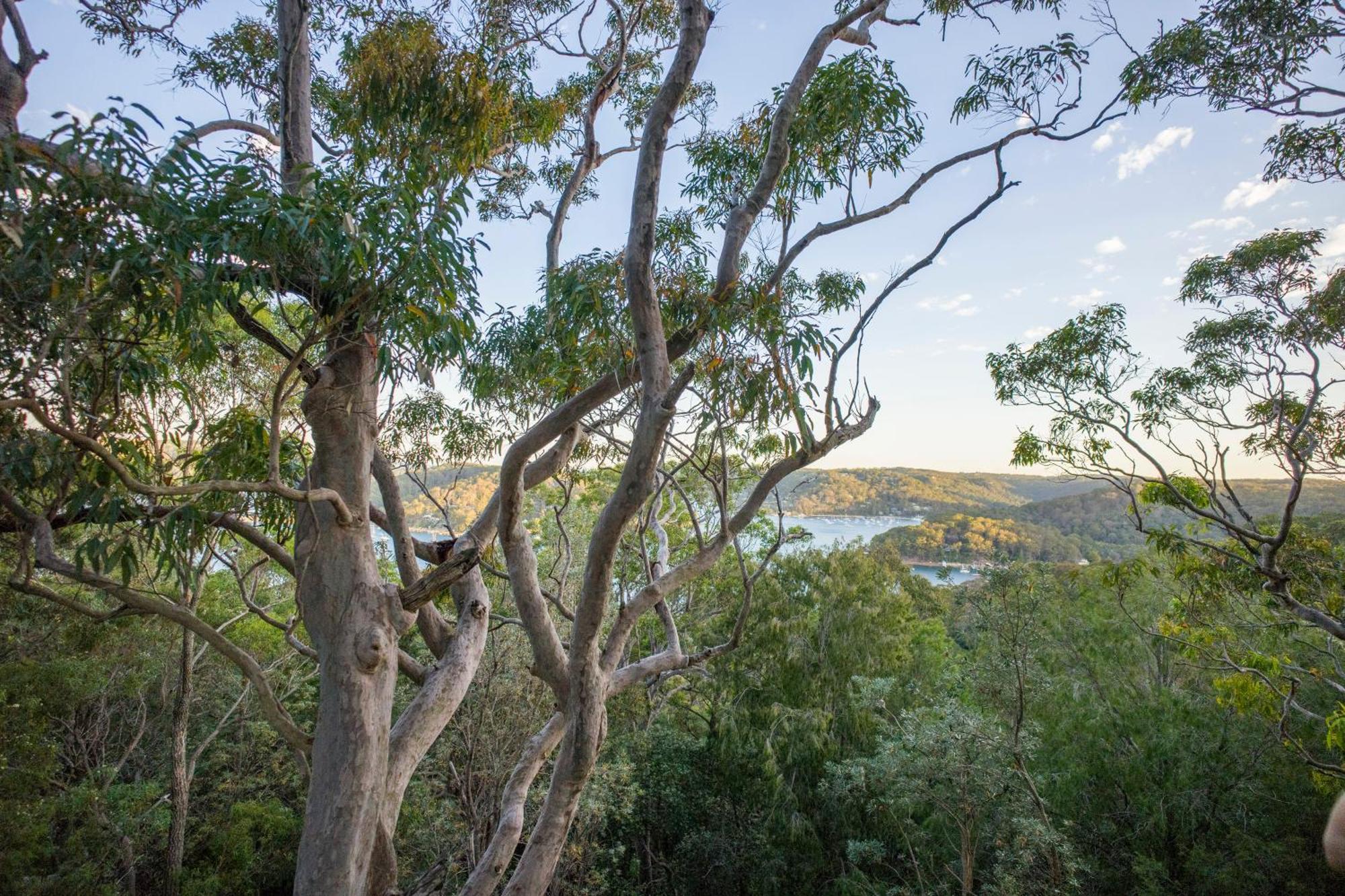 Albergue Yha Pittwater Eco, Sydney Church Point Exterior foto
